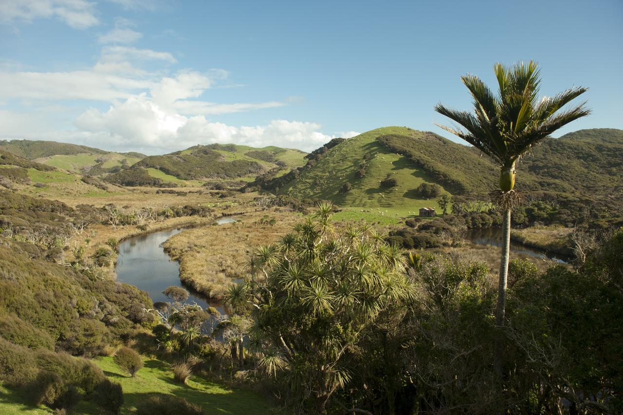 Annies Nirvana Lodge Backpackers Takaka Kültér fotó