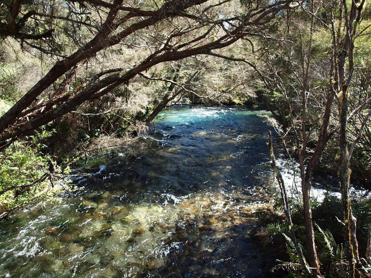 Annies Nirvana Lodge Backpackers Takaka Kültér fotó